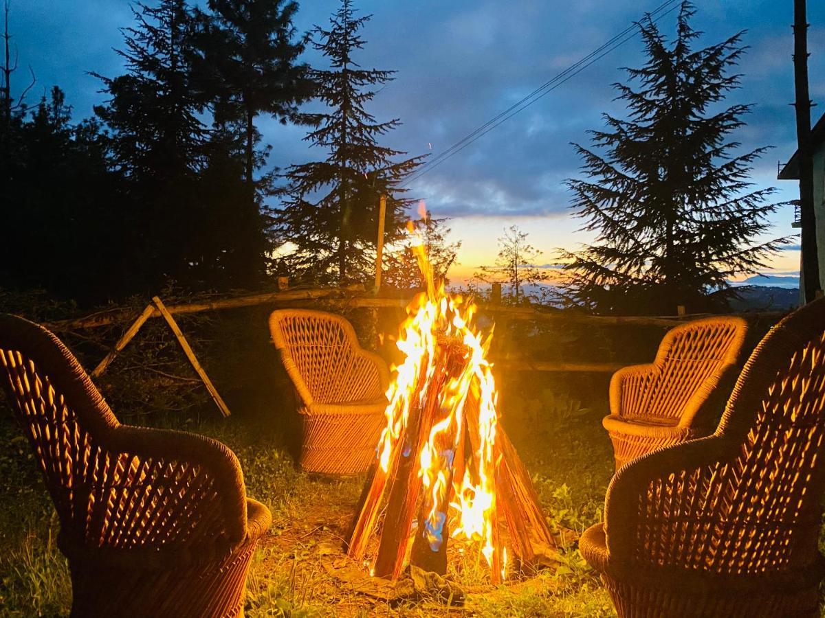 Aachman Nature Valley Resort Shimla Extérieur photo